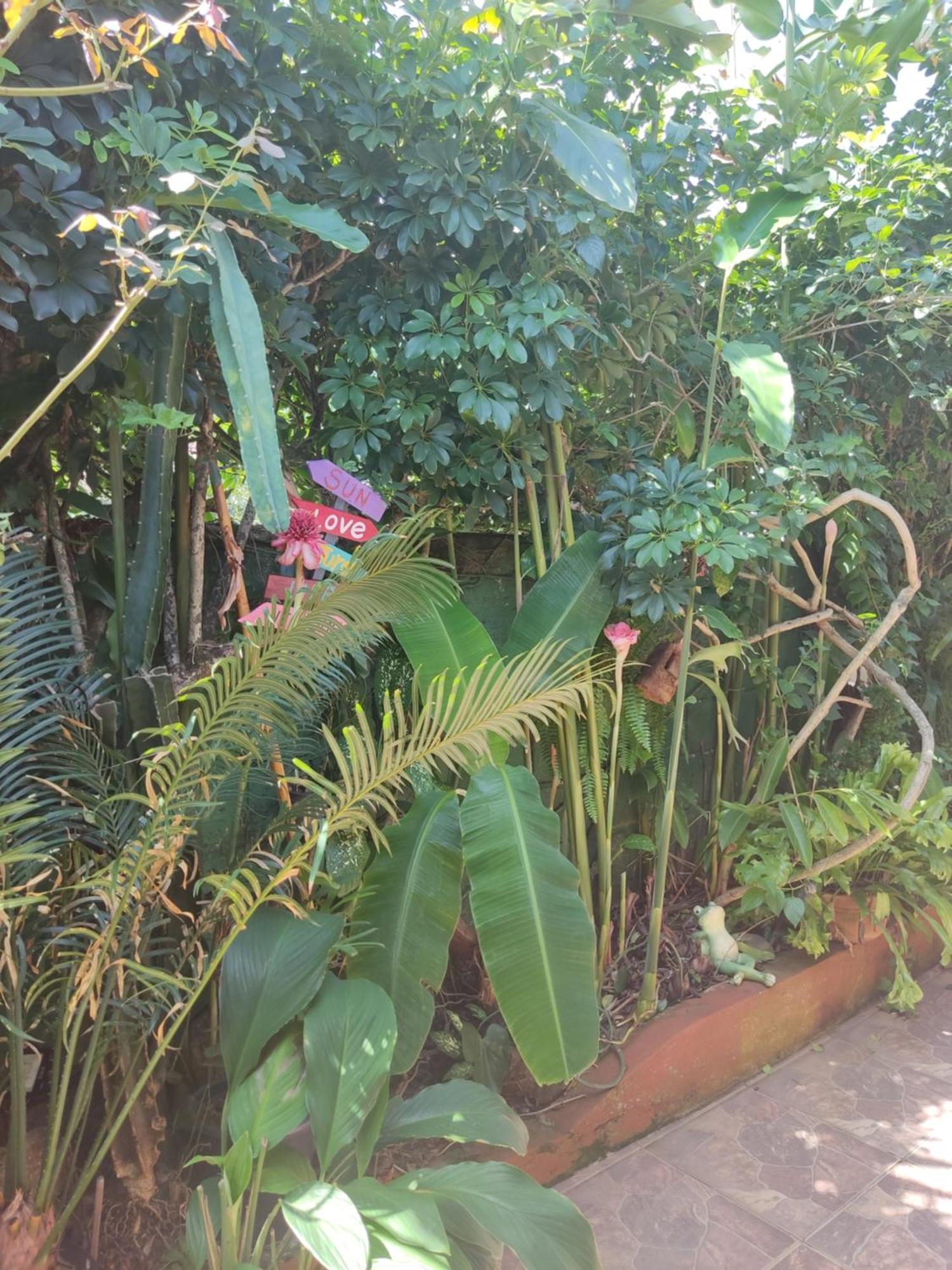Recanto Toca Das Plantas De Ilhabela I Room photo